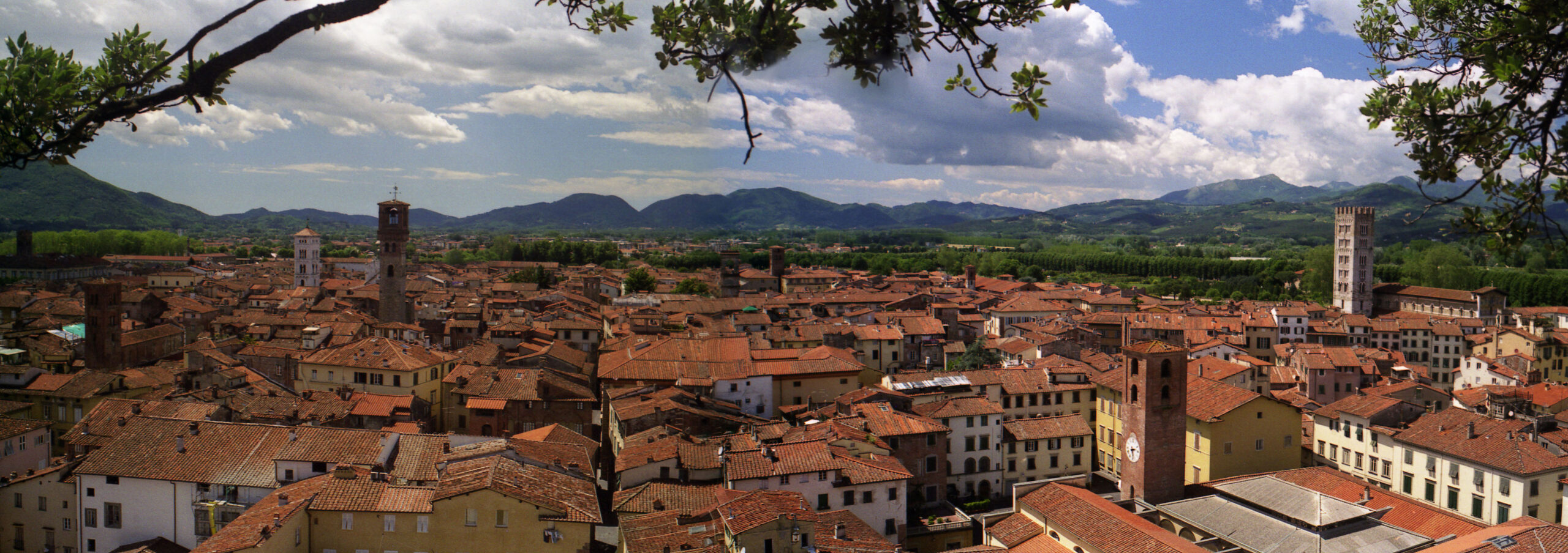 Lucca from the Guinigi Tower
