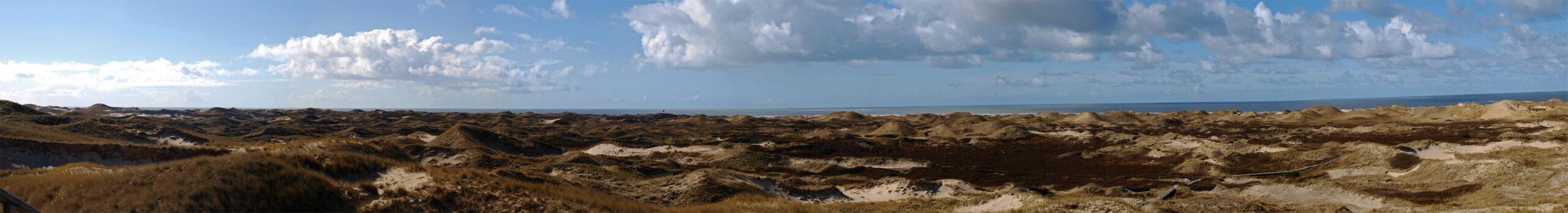 Amrum