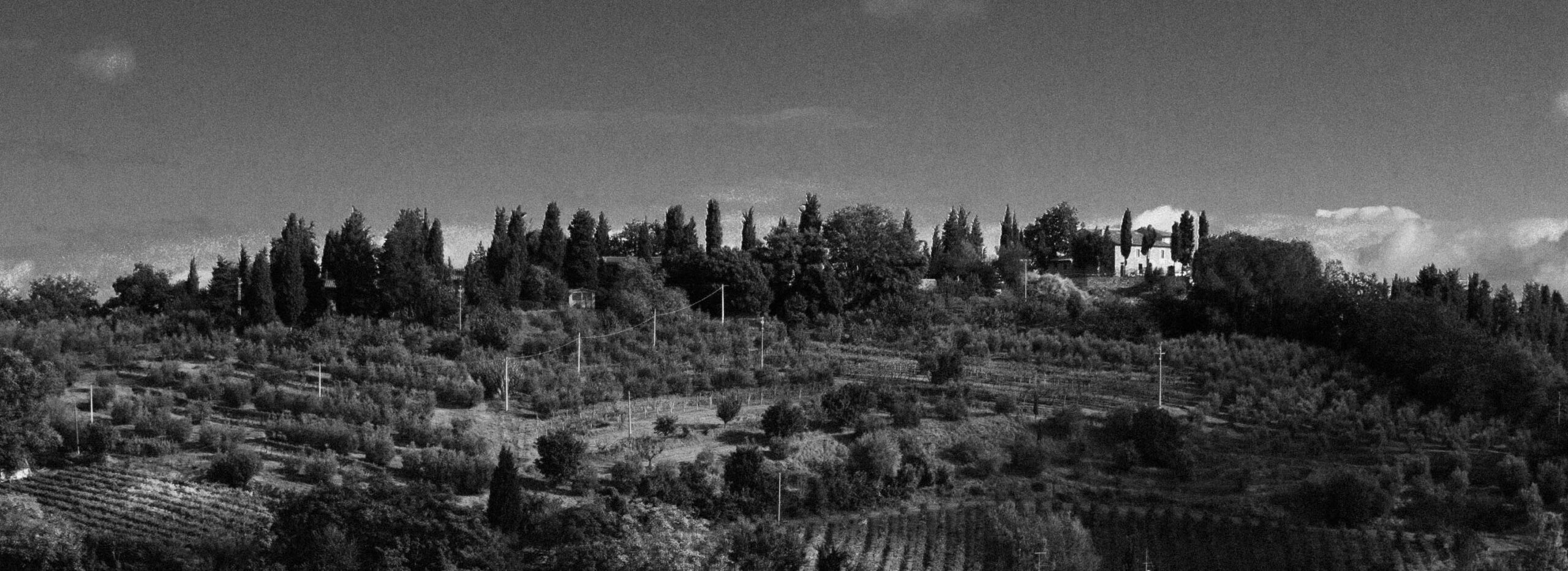 Landscape near San Gimignano