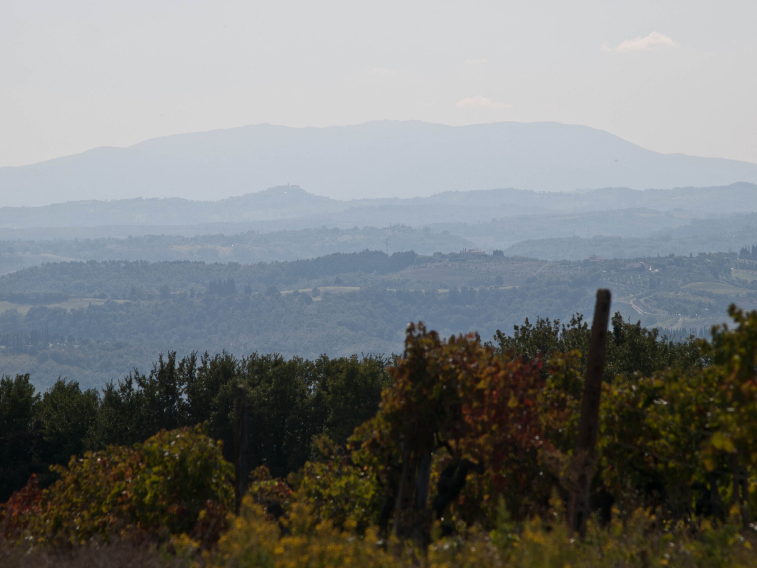 Landscape near Certaldo