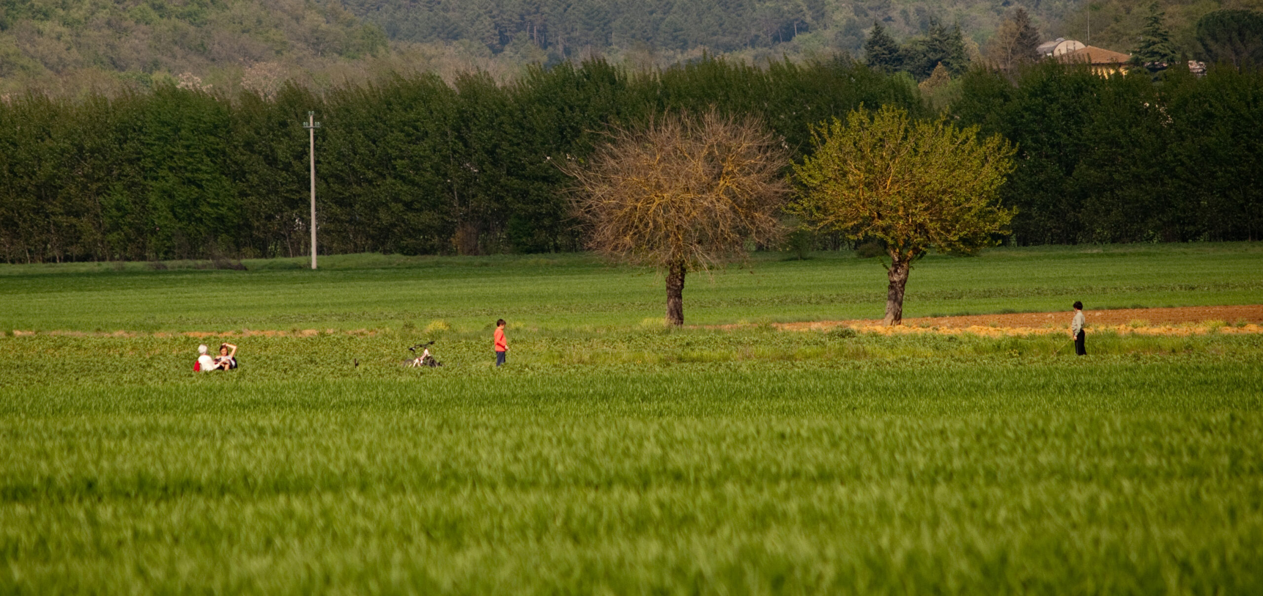 Landscape near Monteriggioni