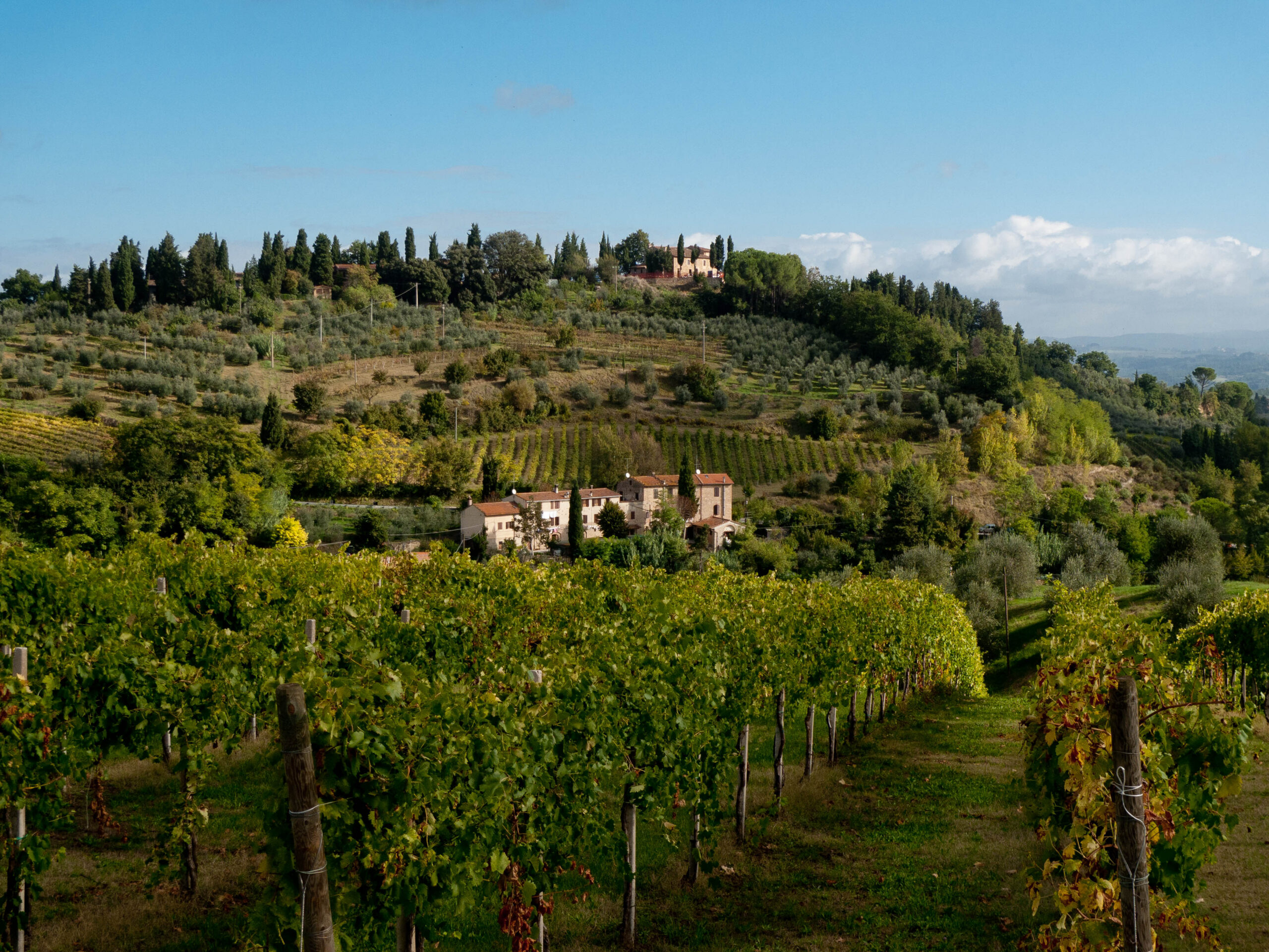Landscape near San Gimignano