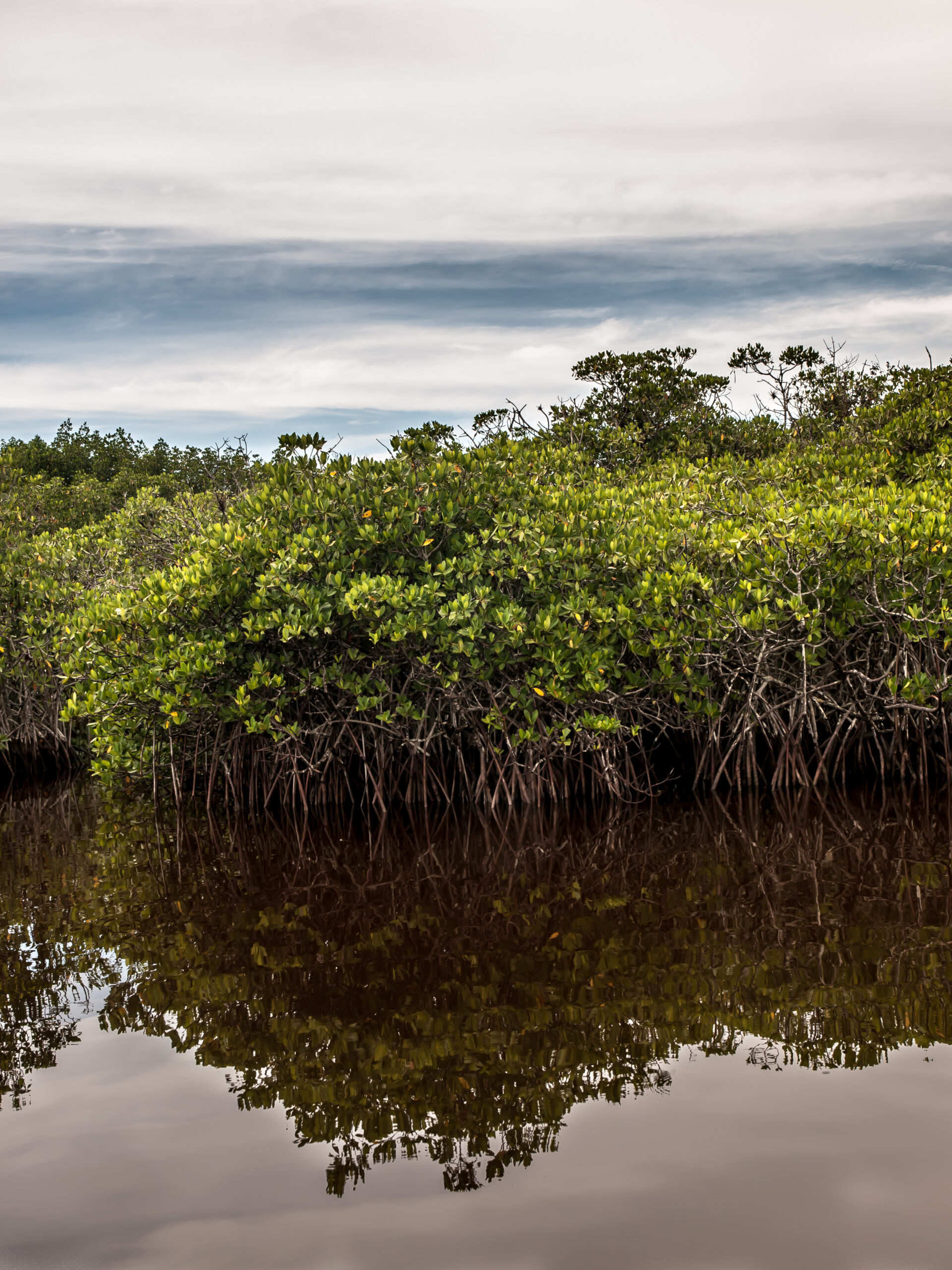 Florida