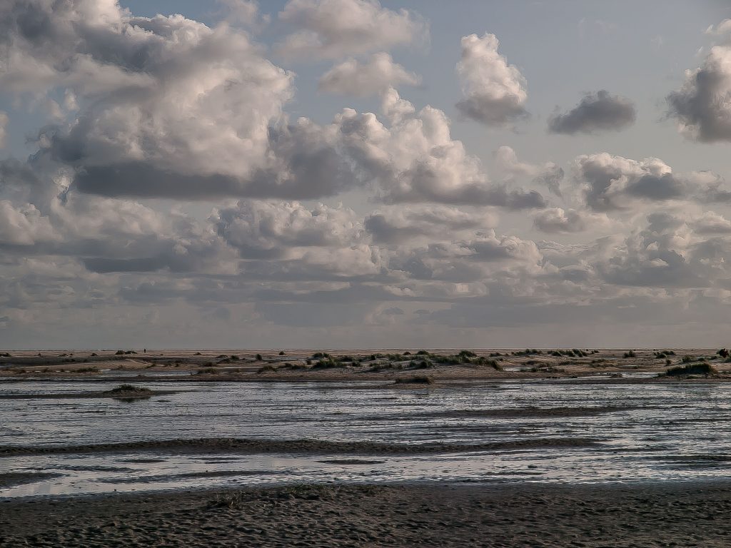 Amrum