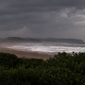 Wilderness - The Indian Ocean