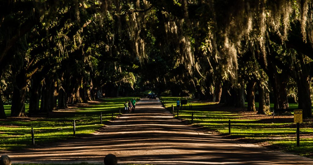 Boone Hall Plantation