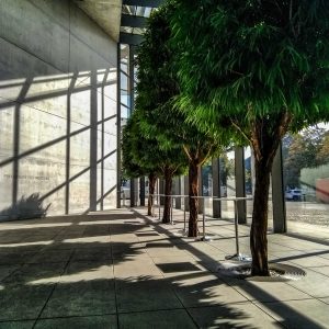 Pinakothek der Moderne, München