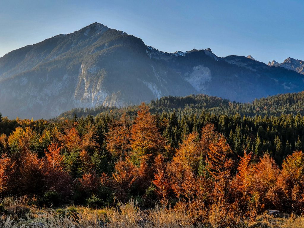 Austria